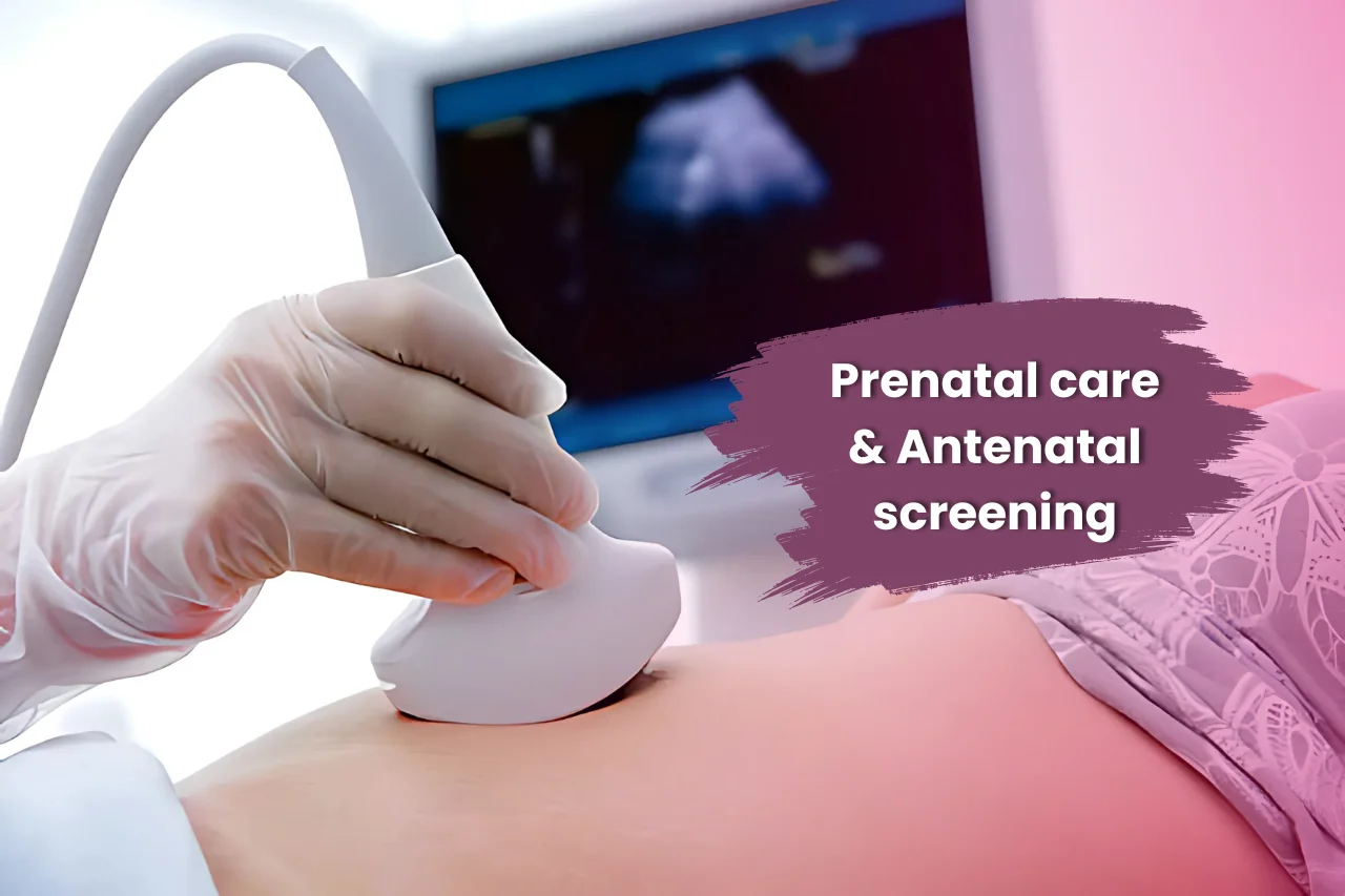 pregnancy care in manikonda